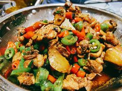 -壹盏灯(惠农店)