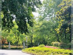 -南京国际会议大酒店