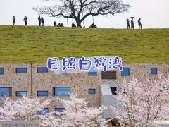 -日照海滨国家森林公园