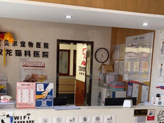 -艾贝尔宠物医院·24H转诊中心·肿瘤猫专科(江宁双龙店)