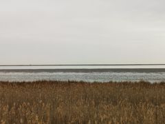 -碧海金沙