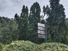 -槟城植物园