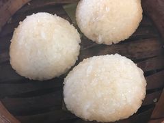 茨毛圆子-双塔老饭店