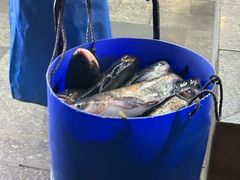 -肖肖酸萝卜鱼火锅(总店)