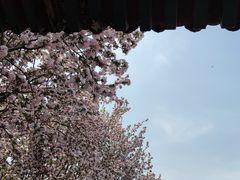 -莲池书院博物馆