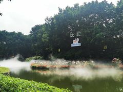 -广州长隆飞鸟乐园