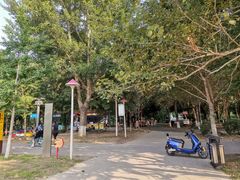 -长白岛森林公园