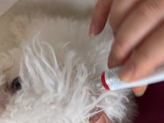 -瑞派康怡24h宠物医院·犬猫医疗中心·微创绝育(瑞景分院)