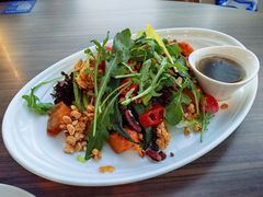 烤麦片豆泥素食沙拉-bluefrog蓝蛙(国贸商城店)