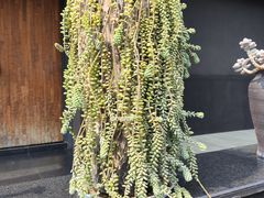 -成都许燎源现代设计艺术博物馆
