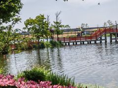 -杭州湾海上花田景区