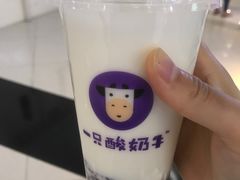 -一只酸奶牛(来福士店)