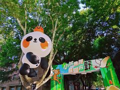 -西安电影制片厂