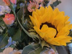 -循礼门鲜花花市(武汉循礼门店)