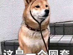 -白氏老婆婆干羊肉剁荞面·非物质文化遗产品牌(靖边总店)