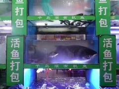 -全乐鱼馆·淳牌有机鱼直营店