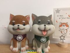 -柴迷FANS CLUB·柴犬狗咖·猫咖