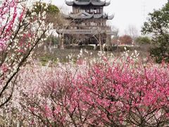 -上海海湾国家森林公园