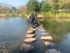 -溪口-滕头旅游景区