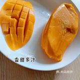 热带风情～网购鹰嘴芒