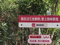 -亚龙湾热带天堂森林公园