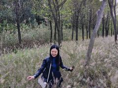 -昆山城市生态森林公园