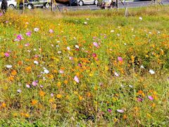 -汉长安城未央宫国家考古遗址公园