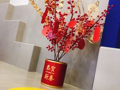 -西琳姑娘·新疆冰淇淋酸奶茶(解放北路店)