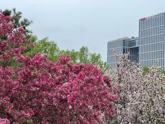 -元大都城垣遗址公园