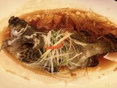 -锦粤宫·精致粤菜(深圳北站店)