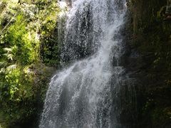-万泉河漂流