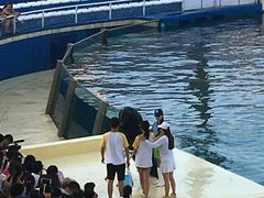 -秦皇岛乐岛海洋王国