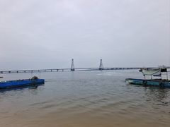 -北海金海湾红树林生态旅游区