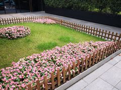 -黄浦江游览快线(金陵东路码头)