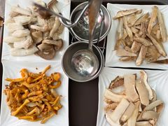 -蘑统田下·野生菌火锅