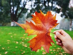 -重庆中央公园(渝北区)