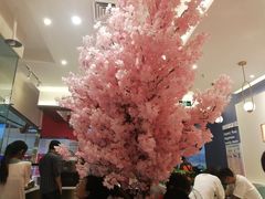 -万达茂商场(南京仙林店)