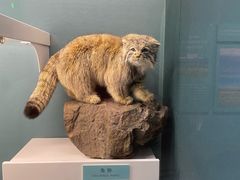 -国家自然博物馆