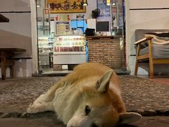 -茶米人台湾料理·精致快简餐