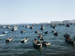 -海源公园