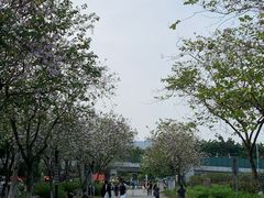 -火炉山森林公园