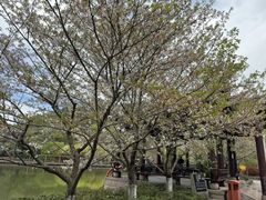 -绍兴镜湖国家城市湿地公园