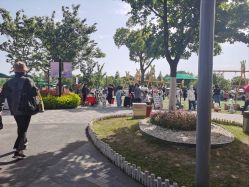 点击看大图 -季高兔窝窝亲子园(上海薰衣草公园店)