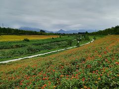 -洨河生态公园
