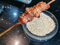 -海波肉串(振兴广场店)