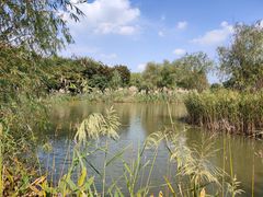 -梁鸿国家湿地公园