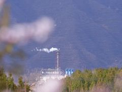 -白水寺森林公园