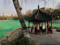 -莲湖公园