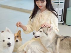 -怪兽屋·羊驼·猫咖·狗咖(俊华广场店)