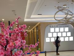 -合肥美奥口腔·种植矫正中心(政务院)
